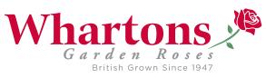 月季育种家：英国沃顿花园玫瑰苗圃(Whartons Nurseries)(图1)