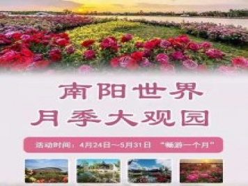 第十二届南阳月季花会4月29日开幕，活动丰富多彩