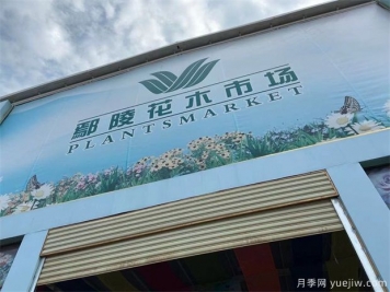 鄢陵县花木产业未必能想到的那些问题