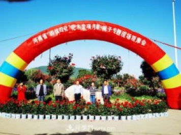 河南省四优四化项目 助推南阳月季、栀子产业发展